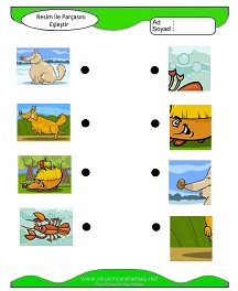 okul öncesi çocuklar için Sayı Sayma çalışma sayfaları